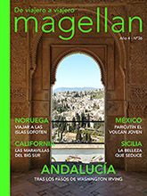 Magellan N36
