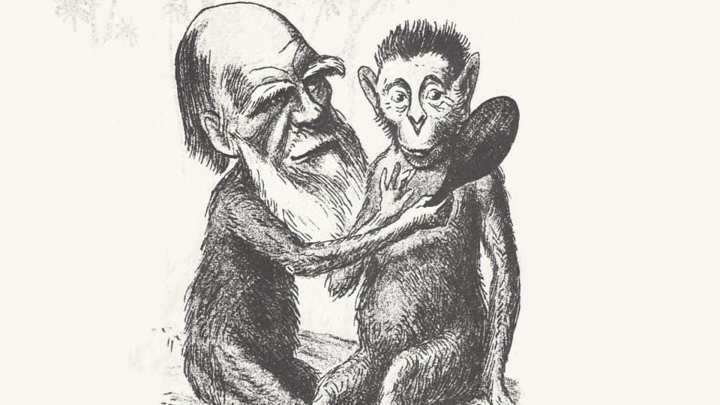 Darwin_cartoon