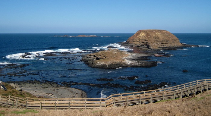 The-Nobbies-Phillip-Island