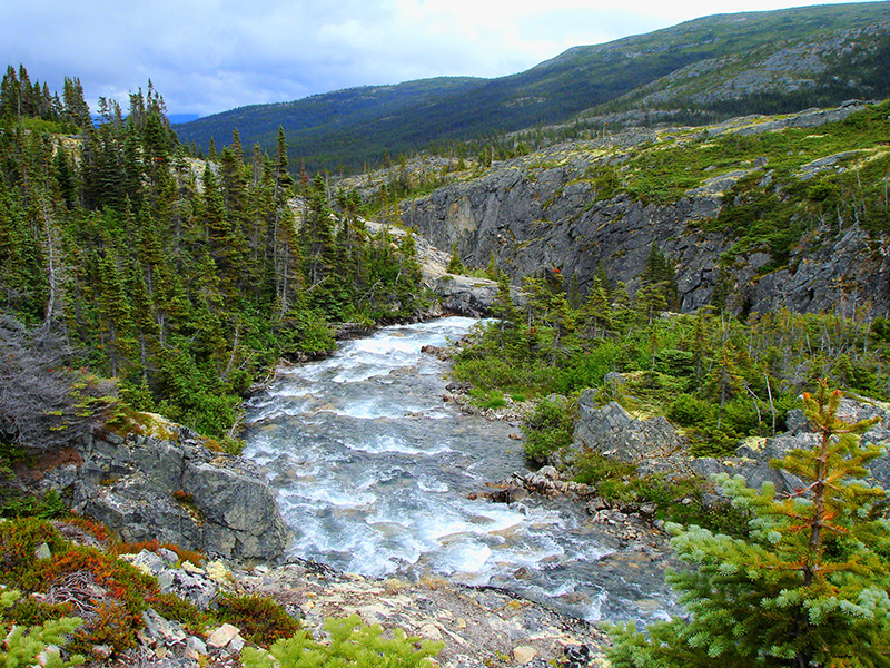 je a Alaska. Uno de los ríos que une los muchos lagos de la zona. Alaska