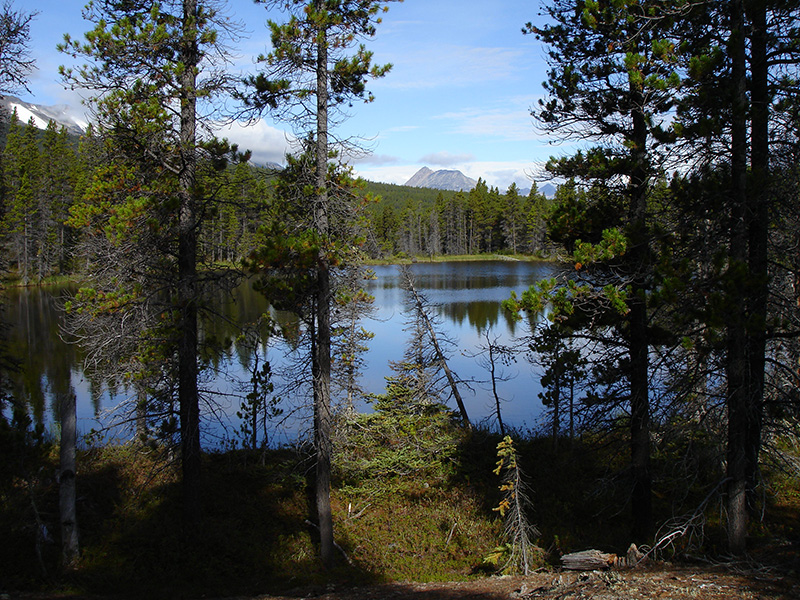 Alaska. El camino del oro hacia el Klondike. Uno de los muchos lagos a lo largo del Chilkoot Trail