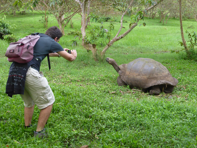 Junto a una tortuga gigante, Islas Galápagos