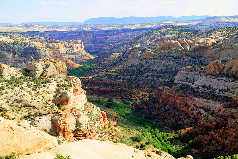 Cañón en el Grand Staircase-Escalante National Monument