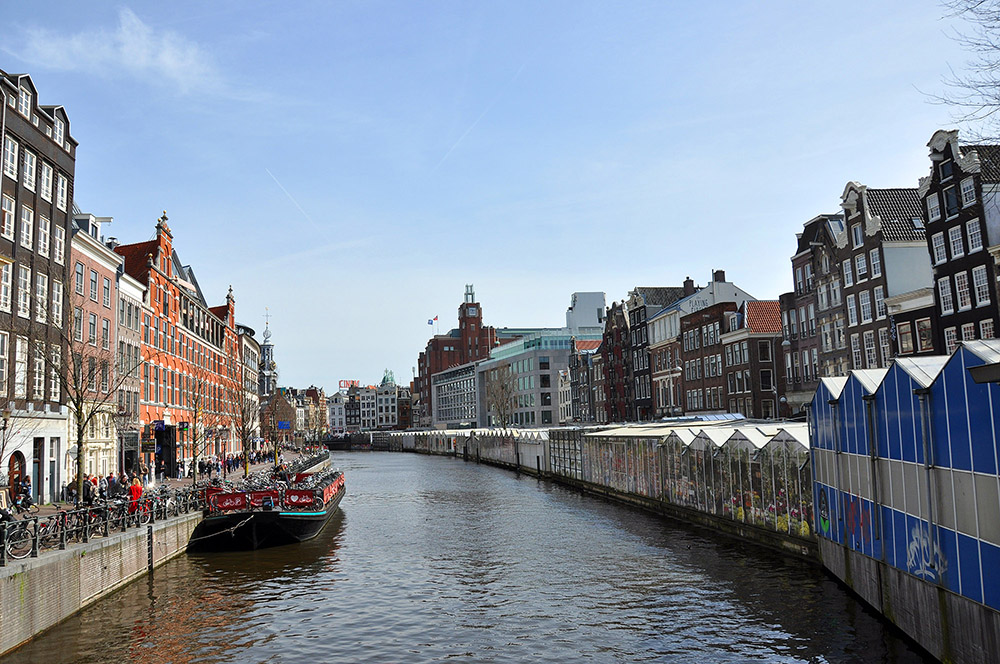 Que ver en Ámsterdam en 2 días. El Bloemenmarkt, el mercado de flores más famoso de Amsterdam