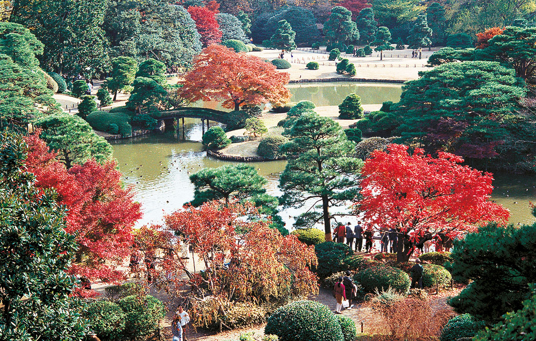 los jardines Rikugien