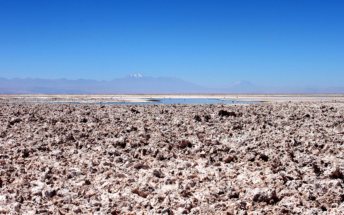 Desierto de Atacama. Cristales de sal en el Salar de Atacama